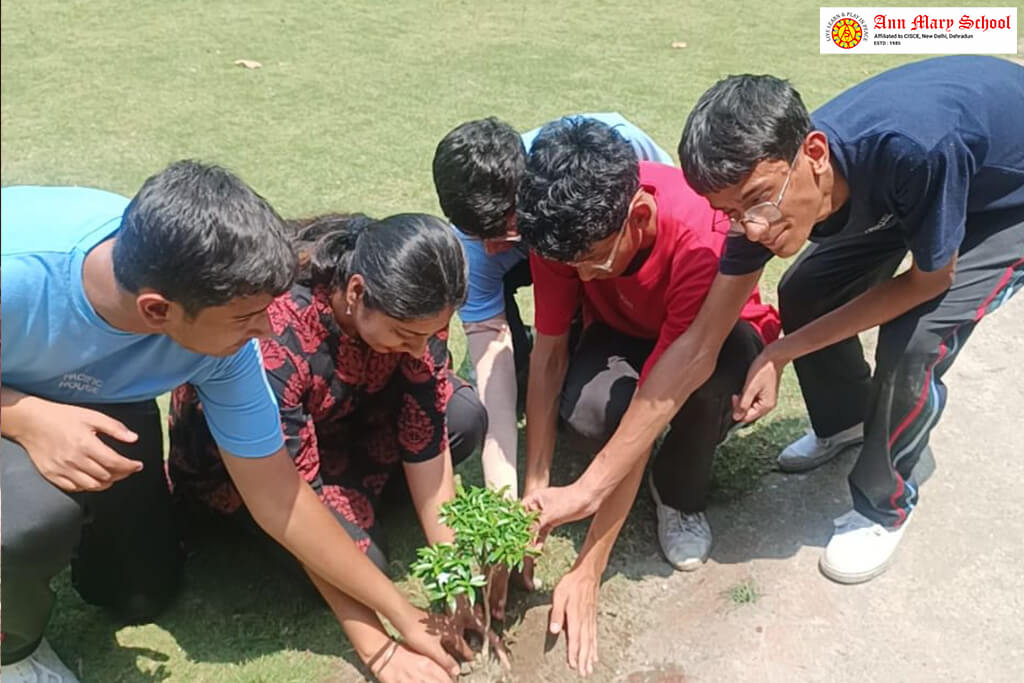 Ann Mary School Celebrated Harela